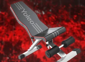Expand Your Home Gym With the Yoleo Weight Bench for Less Than $38 Shipped, Comes 95% Pre-Assembled